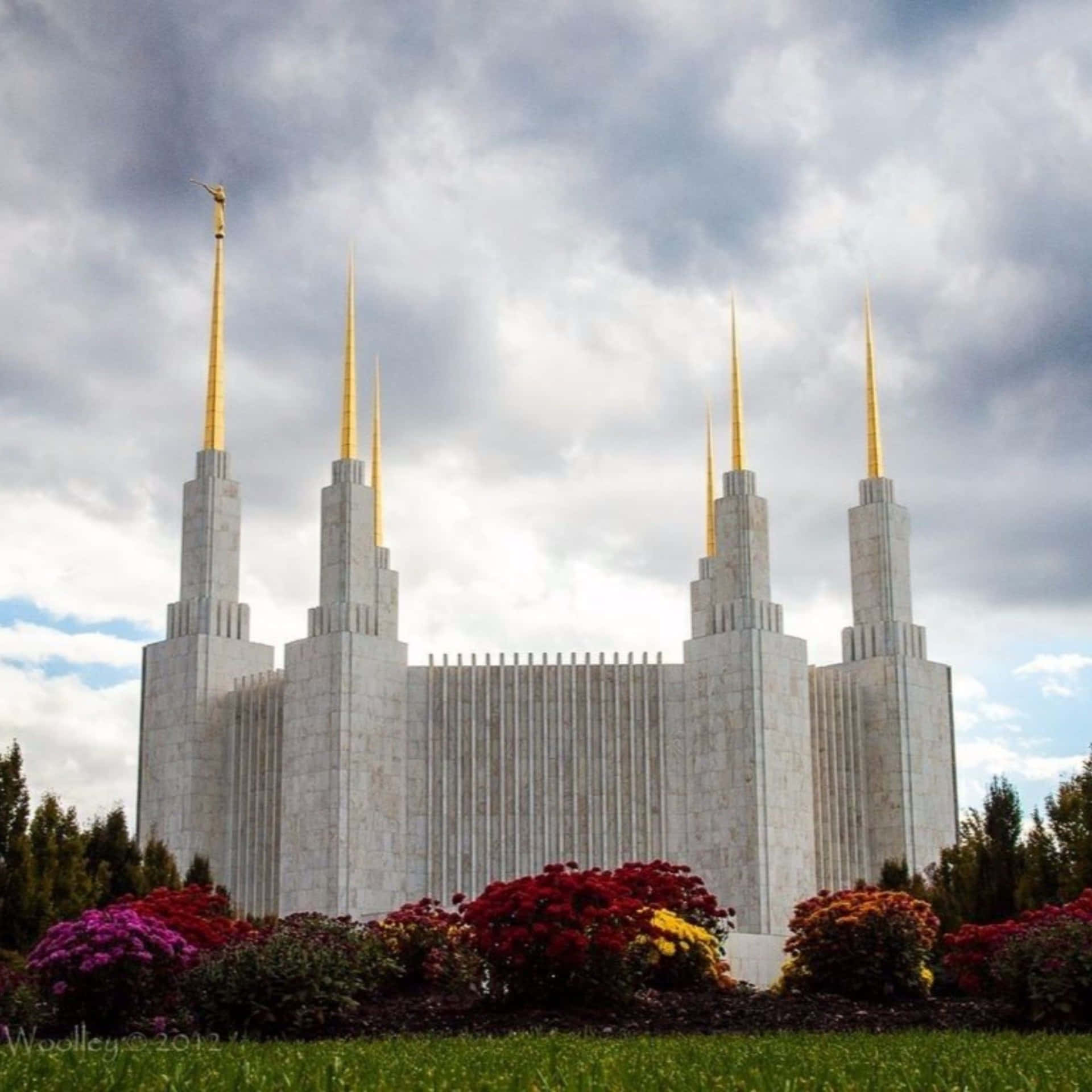 Gold Spired Washington Mormon Temple Wallpaper