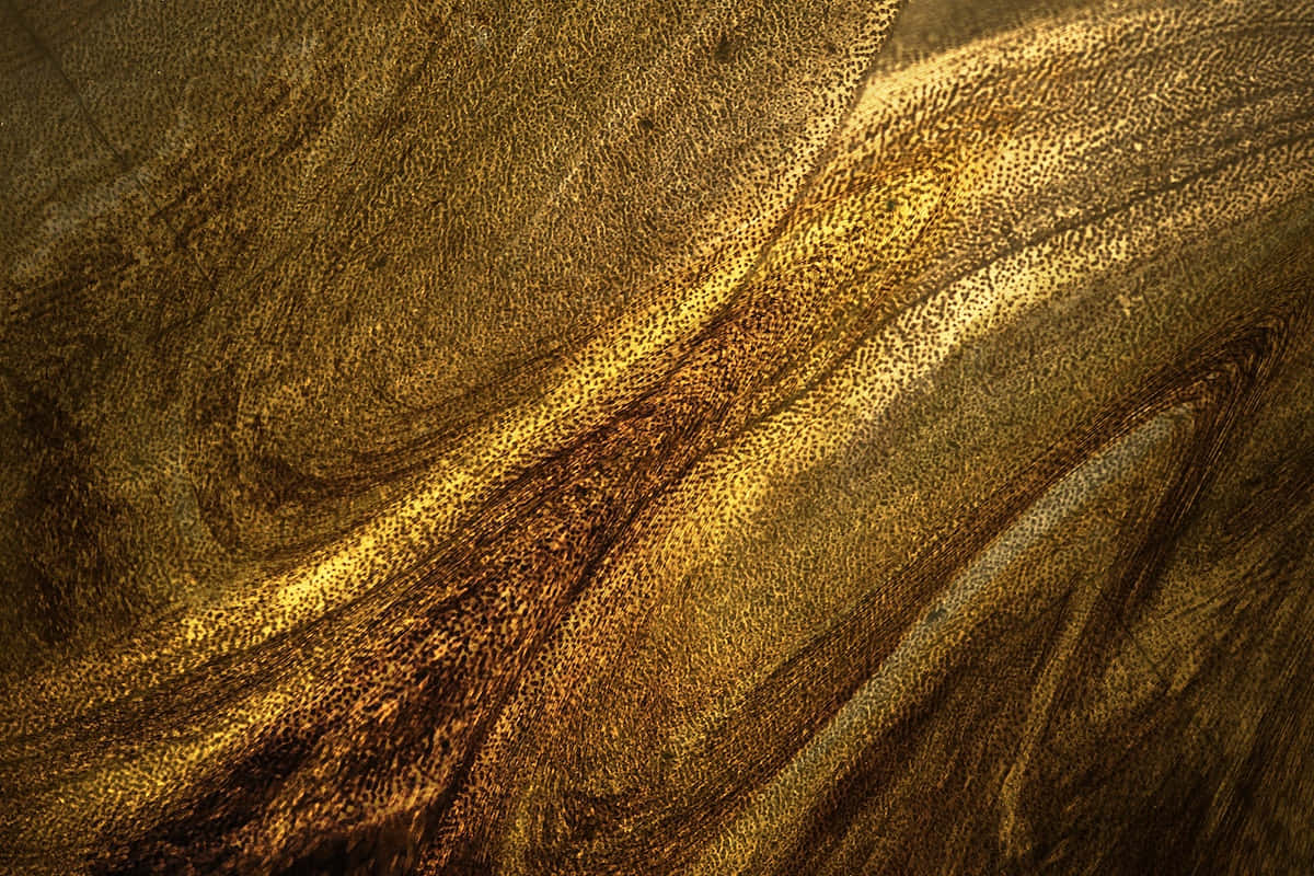 Gold Texture Pictures 1200 X 800 Picture