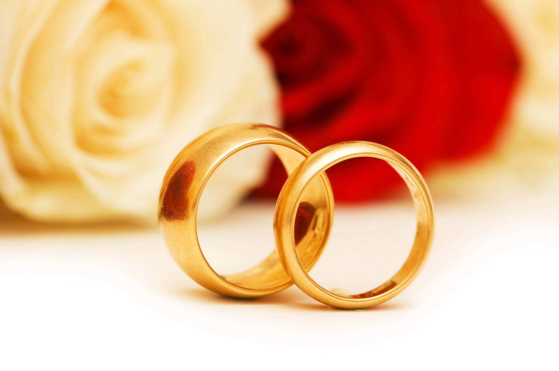 Gold Wedding Rings And Roses