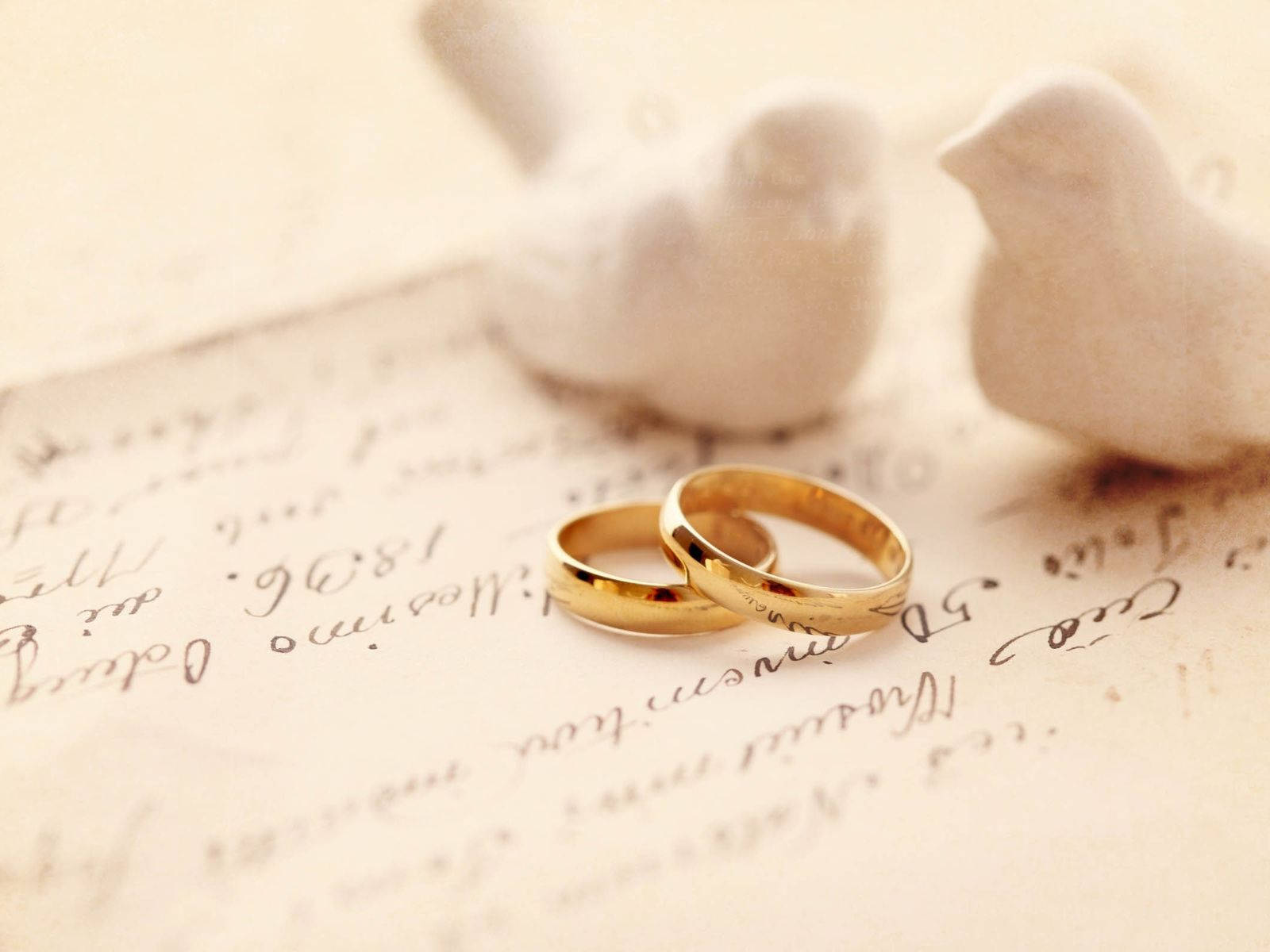 Gold Wedding Rings And White Doves