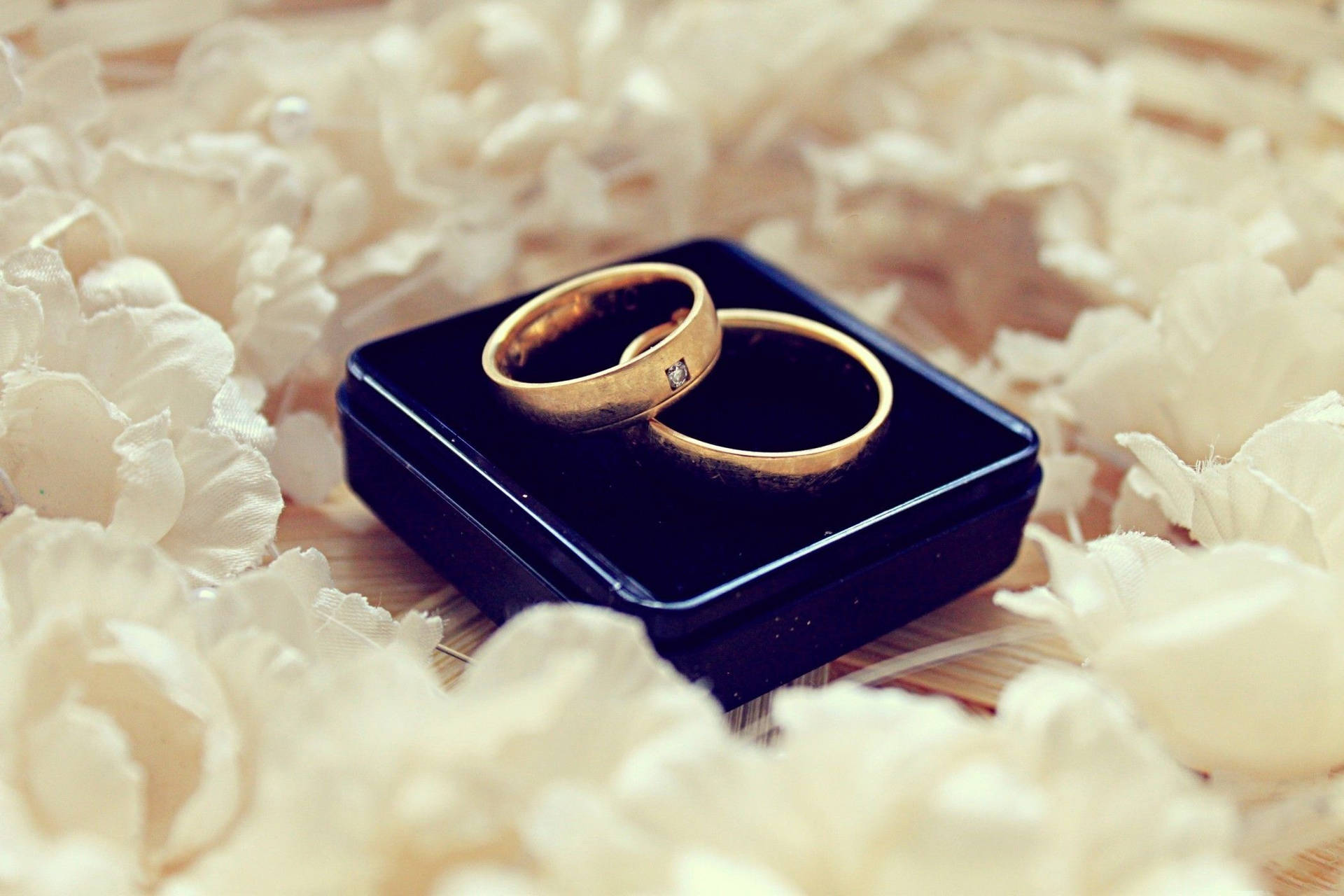 Gold Wedding Rings On Blue Box