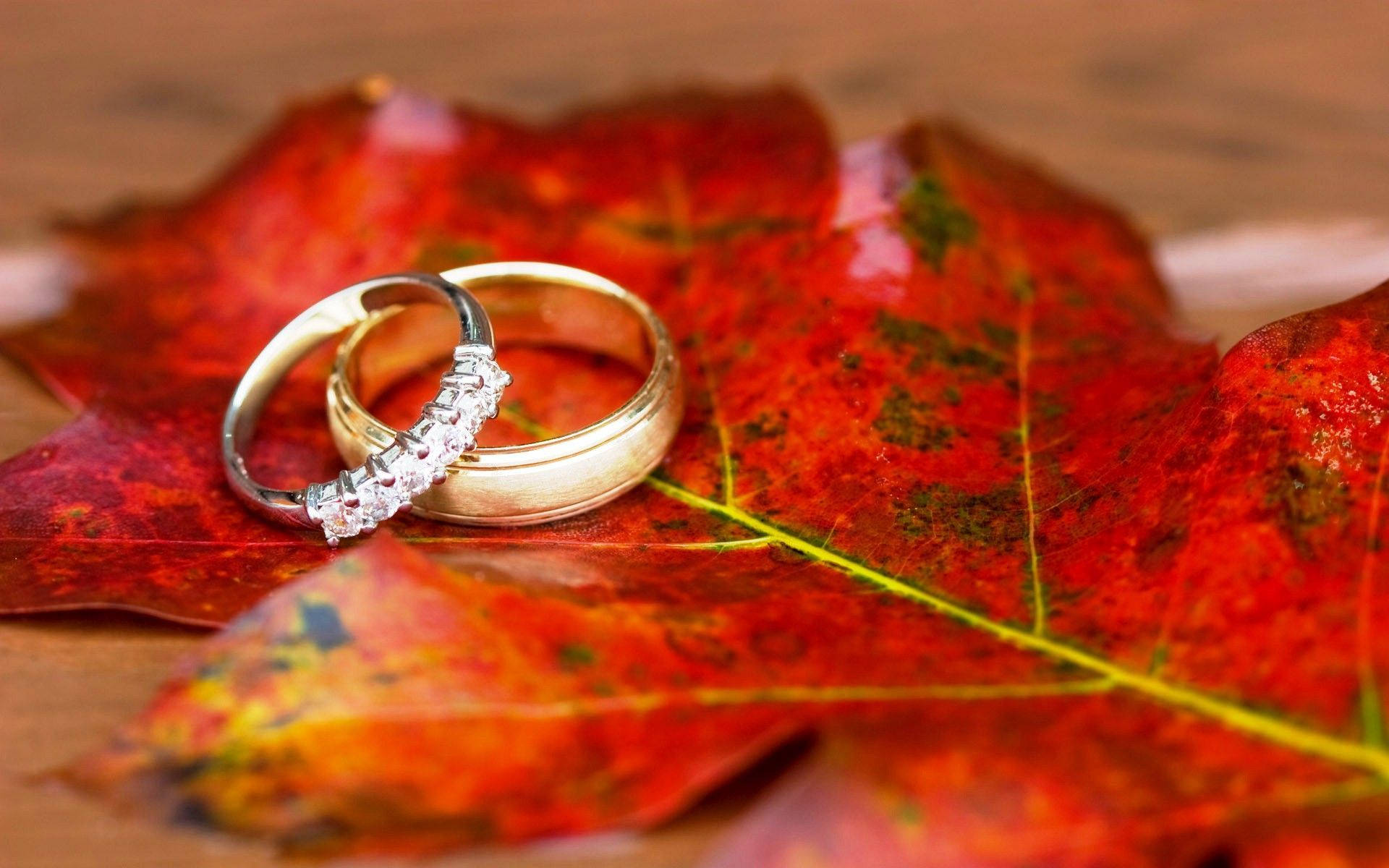 Gold Wedding Rings On Red Leaf