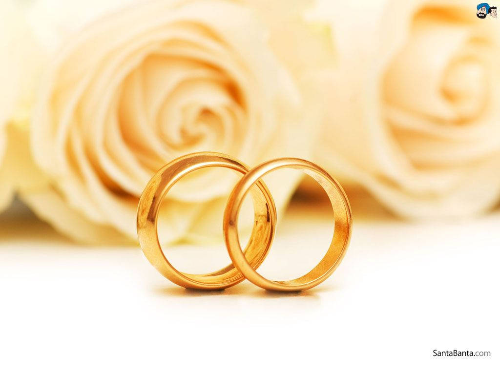 HD wallpaper goldcolored ring with diamond stud flowers wedding  background  Wallpaper Flare