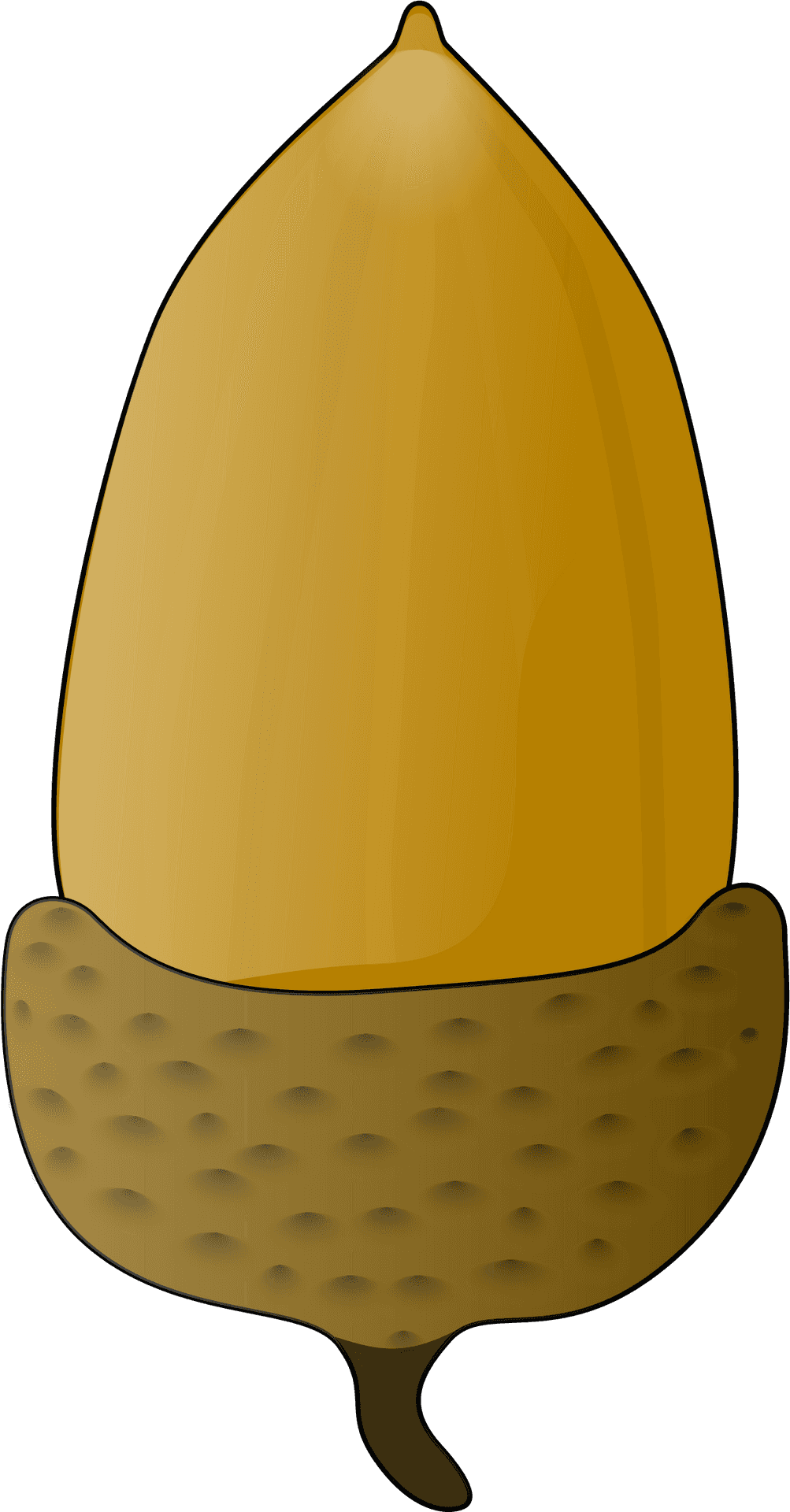 Golden Acorn Illustration PNG