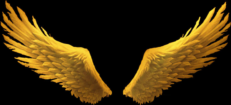 Golden_ Angel_ Wings_ Illustration PNG
