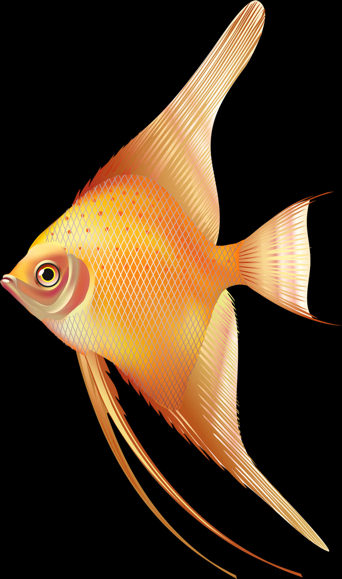 Golden Angelfish Illustration PNG