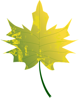Golden Autumn Leaf Graphic PNG