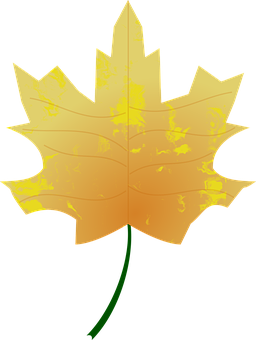 Golden Autumn Leaf Vector PNG