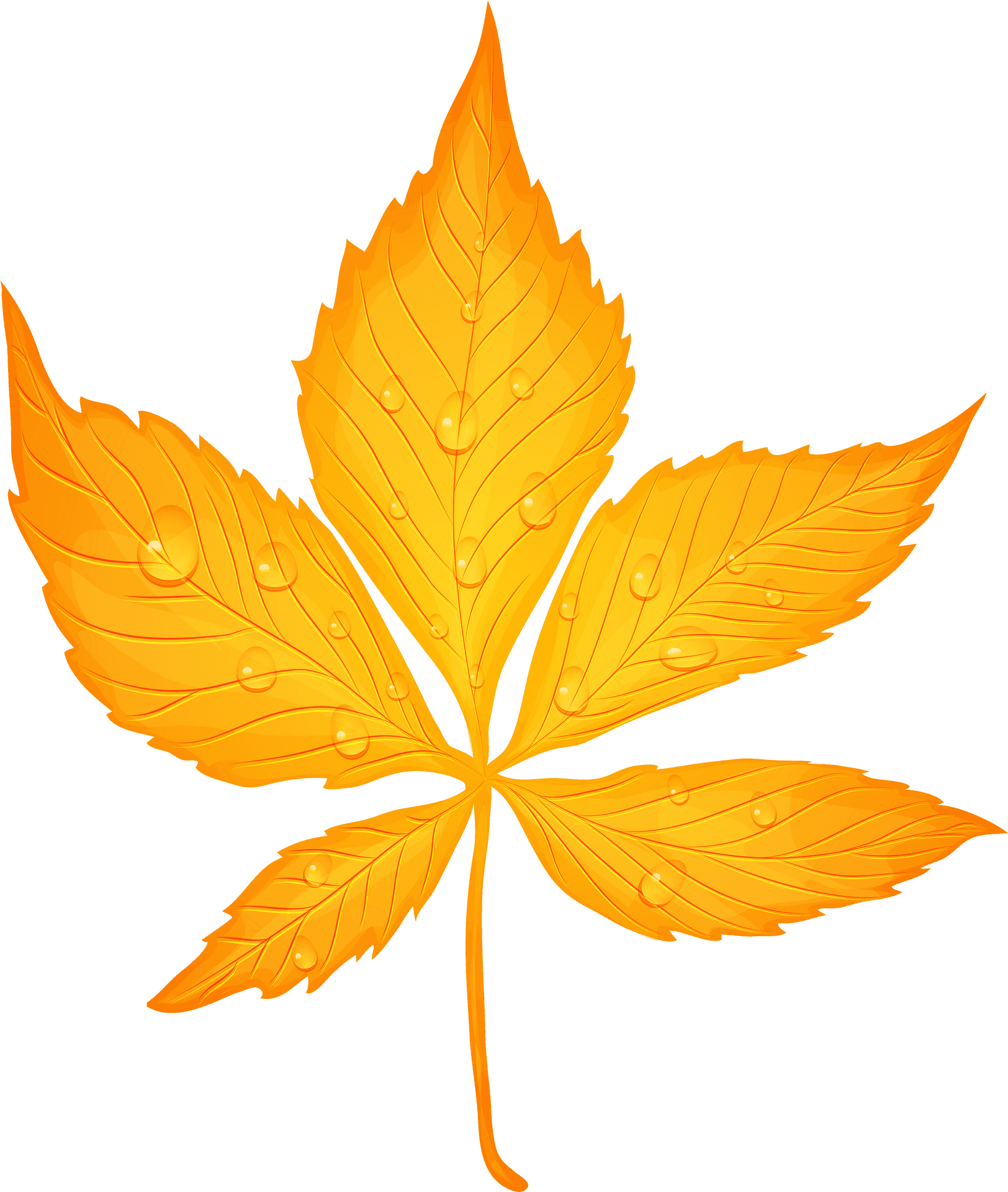 Golden Autumn Leafwith Dew Drops PNG