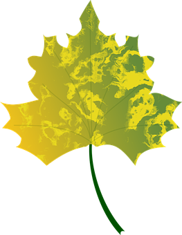 Golden Autumn Maple Leaf PNG