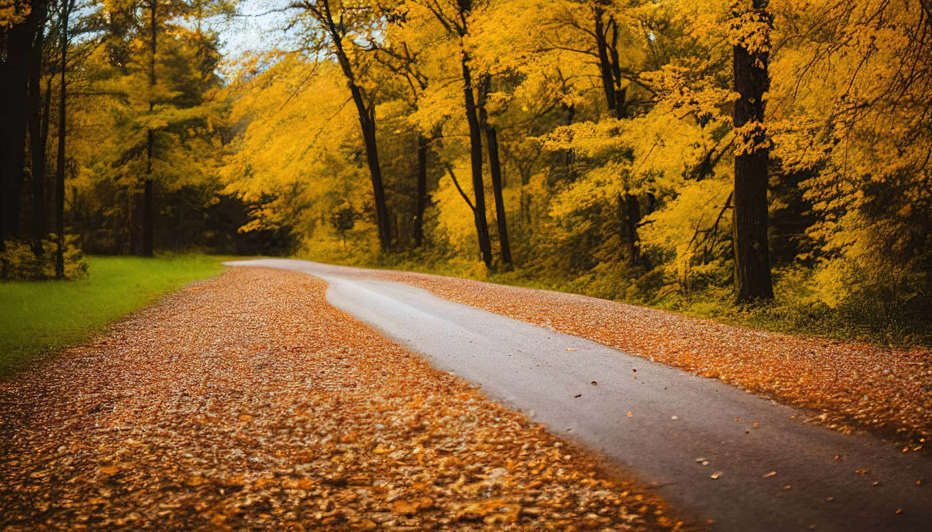 Golden Autumn Roadway.jpg Wallpaper