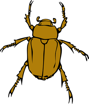 Golden Beetle Silhouette PNG