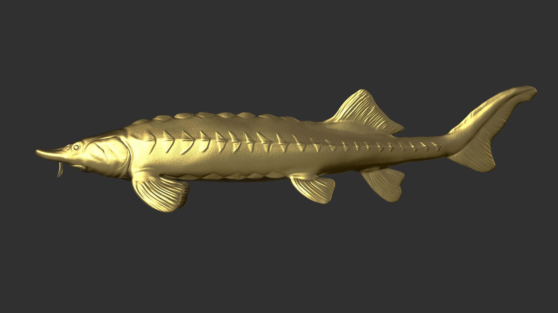 Golden Beluga Sturgeon Statue Wallpaper