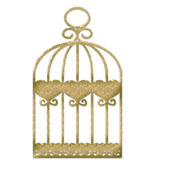 Golden Birdcage Graphic PNG