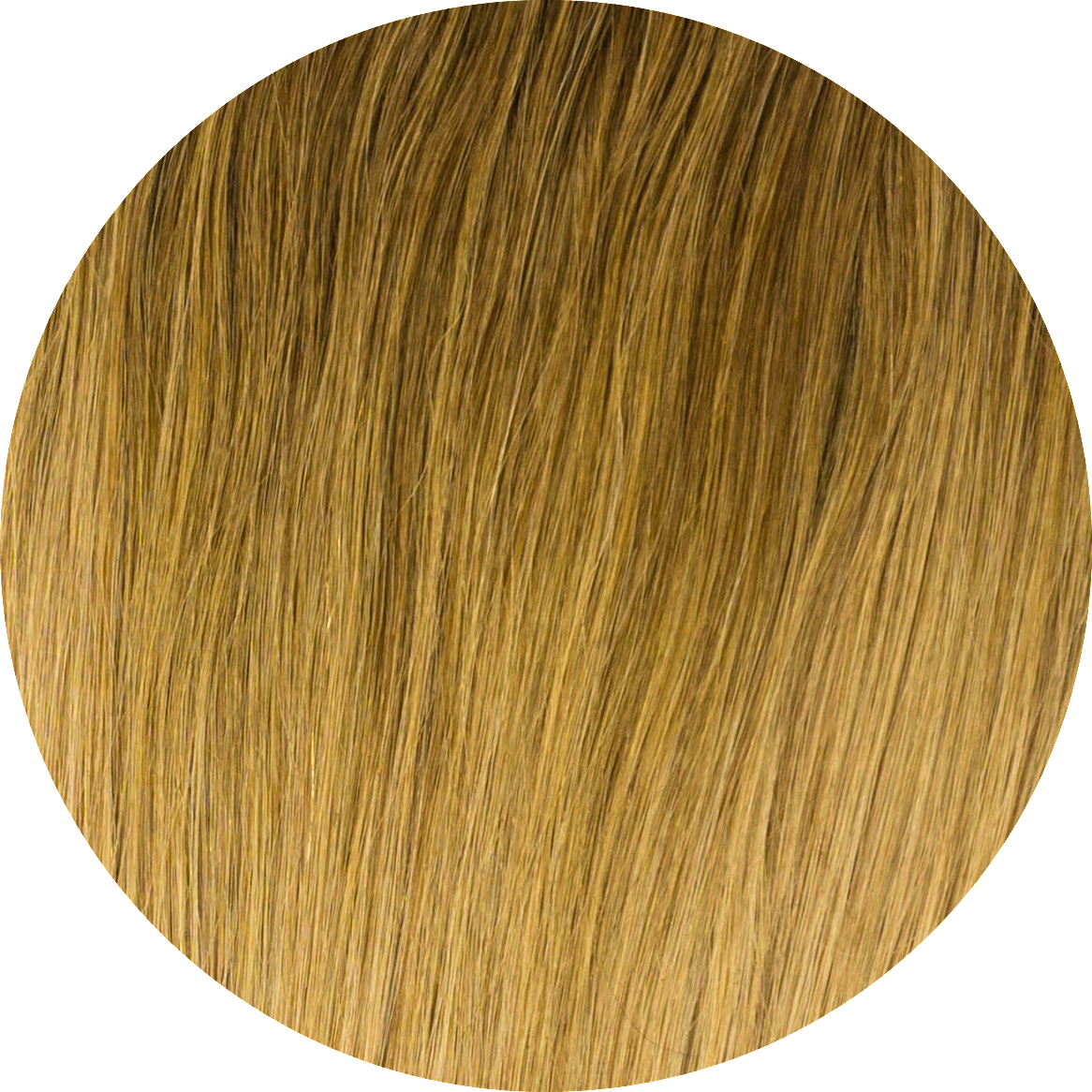 Golden Blonde Hair Texture PNG