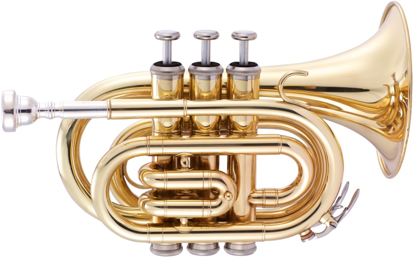 Golden Brass Trumpet PNG