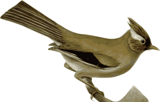 Golden Brown Bird Illustration PNG