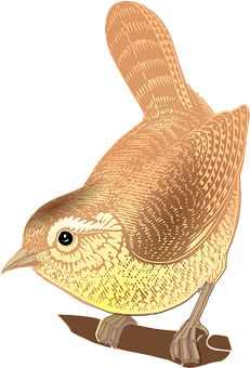 Golden Brown Illustrated Bird PNG