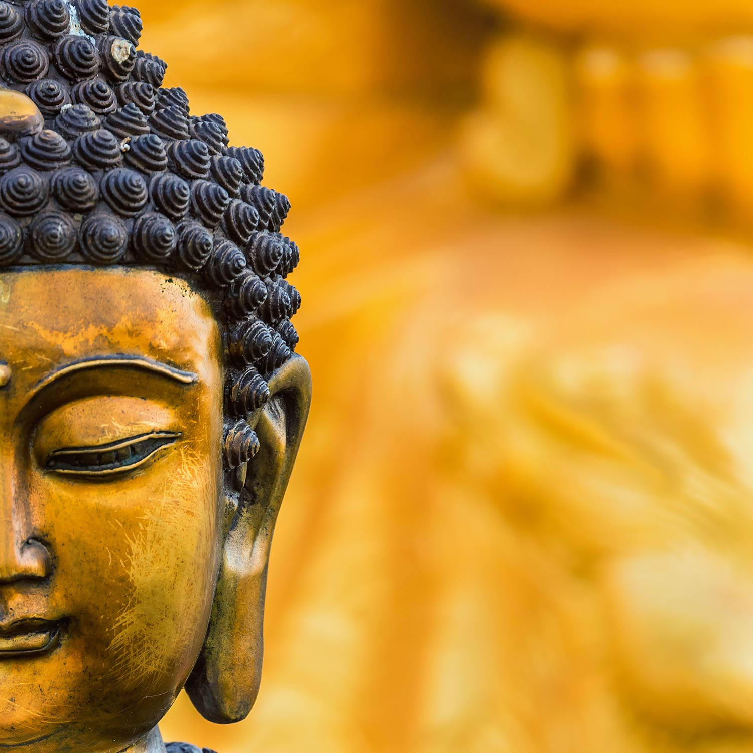 A close-up of a stunning golden Buddha statue Wallpaper