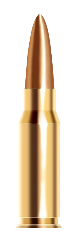 Golden Bullet Isolated PNG
