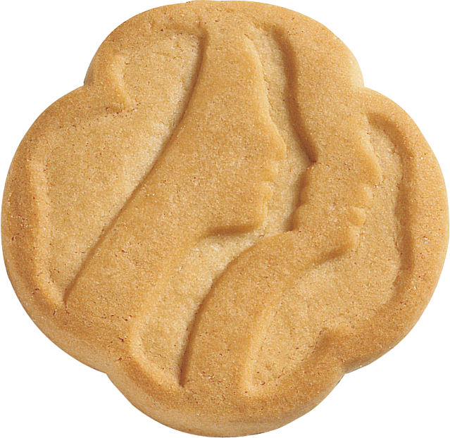 Golden Butter Cookie Texture PNG