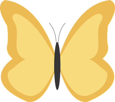 Golden Butterfly Vector Illustration PNG