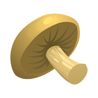 Golden Cap Mushroom Vector Illustration PNG