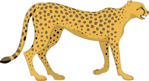 Golden Cheetah Illustration PNG