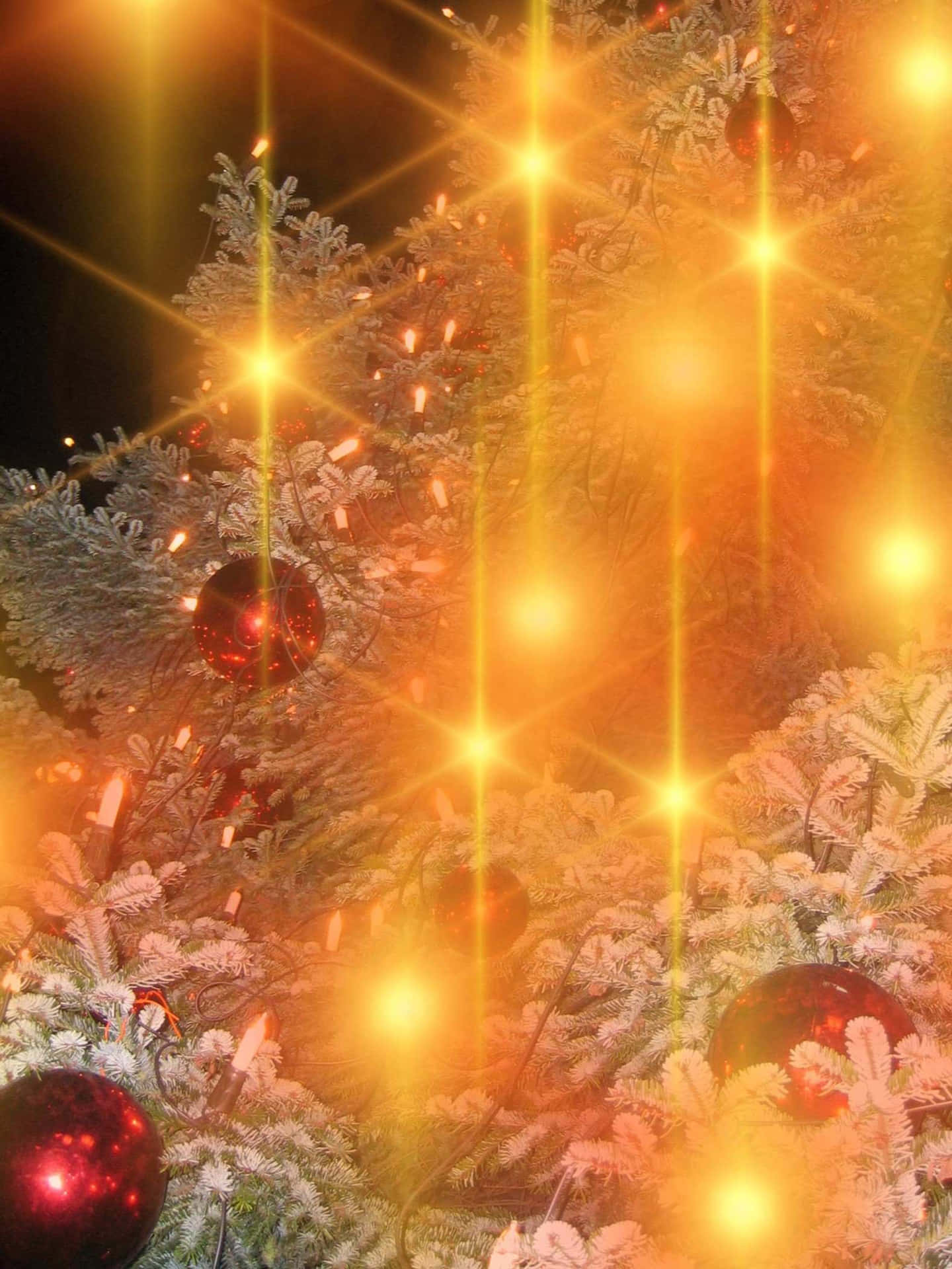 Golden Christmas Lights Glow Wallpaper
