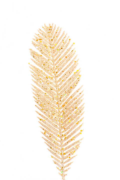 Golden Christmas Tree Branch Sparkle PNG