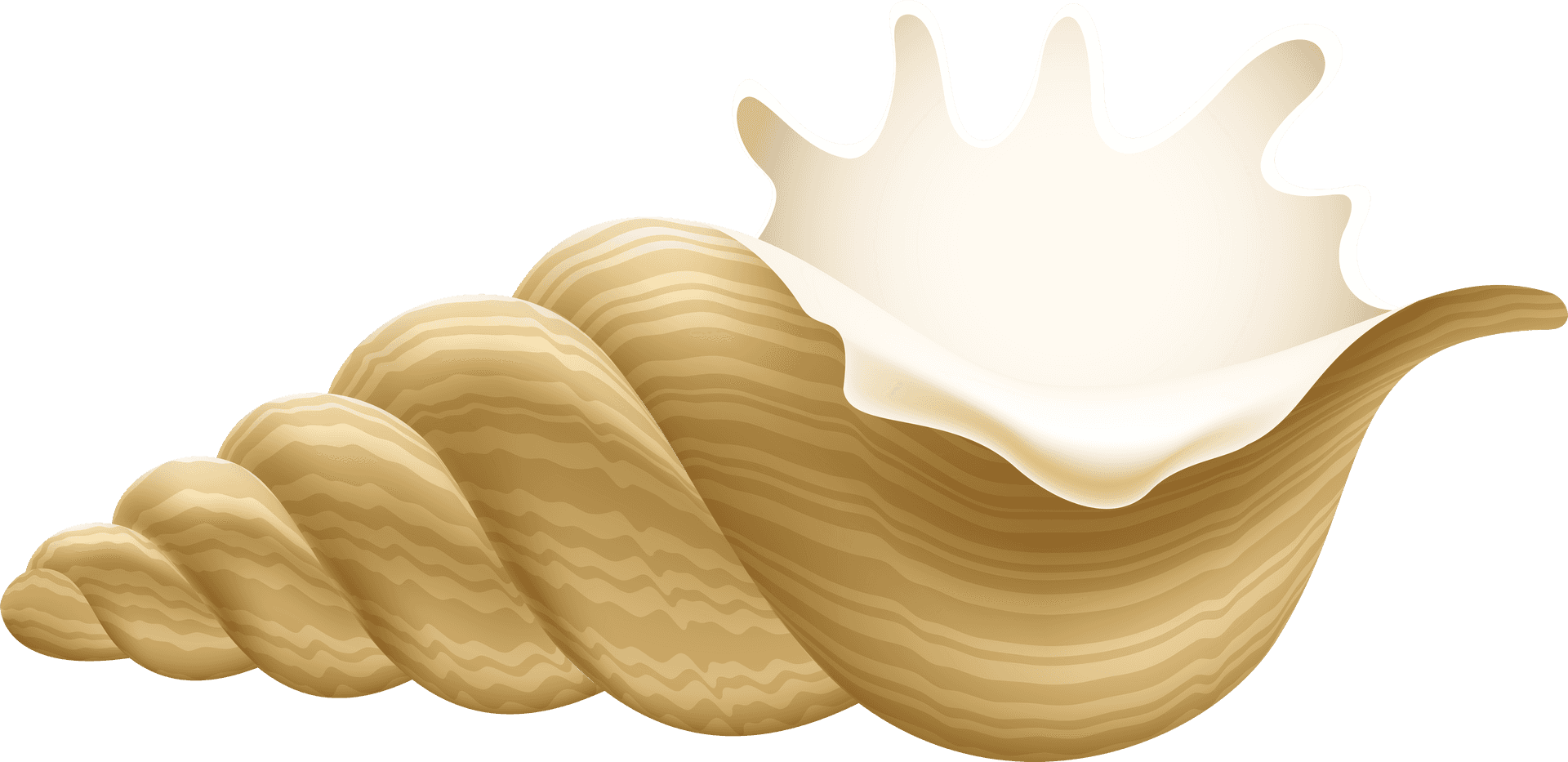 Golden Conch Shell Illustration PNG