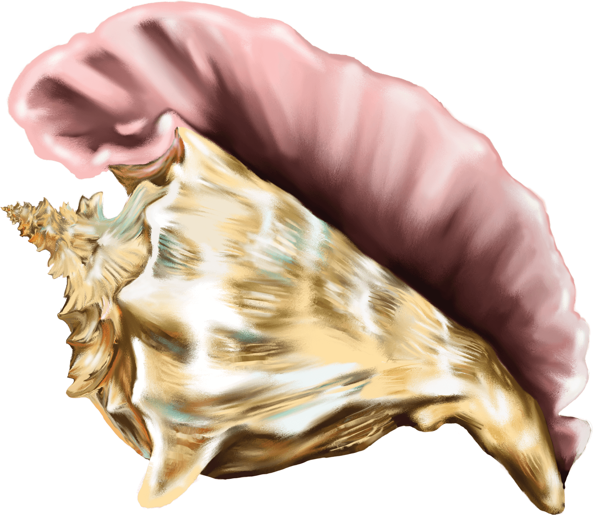 Golden Conchin Hand PNG