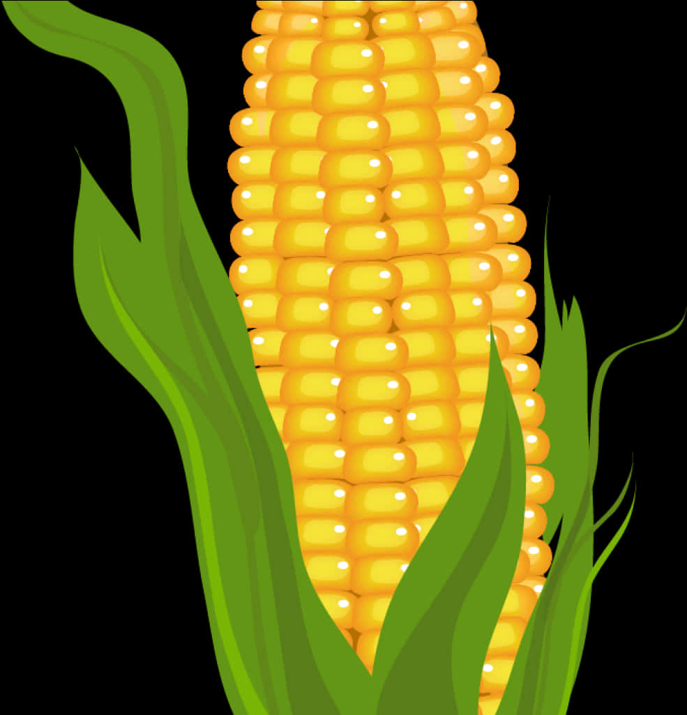 Golden Corn Cob Illustration PNG