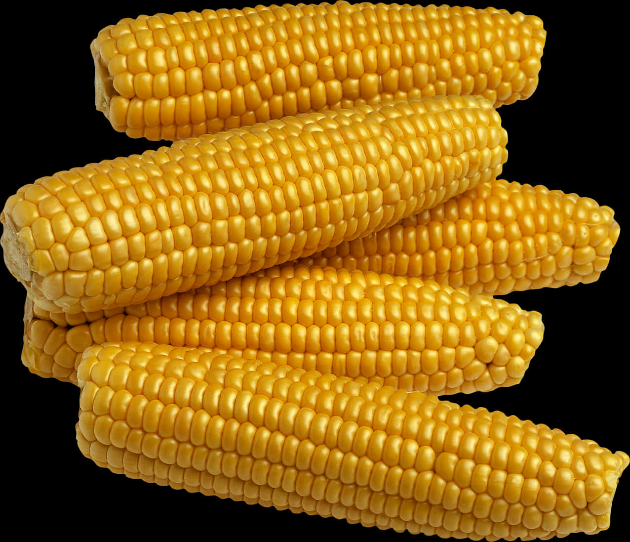 Golden Corn Cobs Stacked PNG