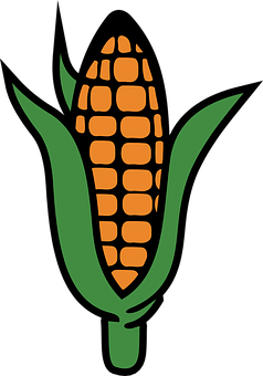 Golden Corn Ear Vector Illustration PNG