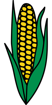 Golden Corn Ear Vector Illustration PNG