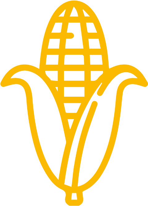 Golden Corn Icon PNG