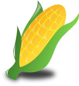 Golden Corn Illustration PNG