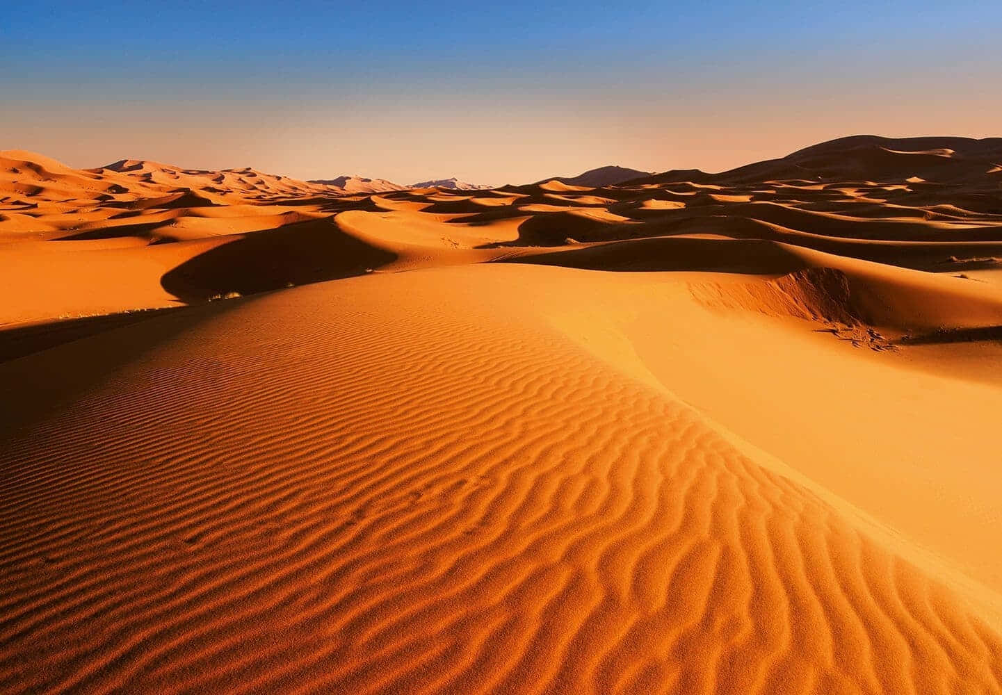 Golden_ Desert_ Dunes_at_ Sunset Wallpaper
