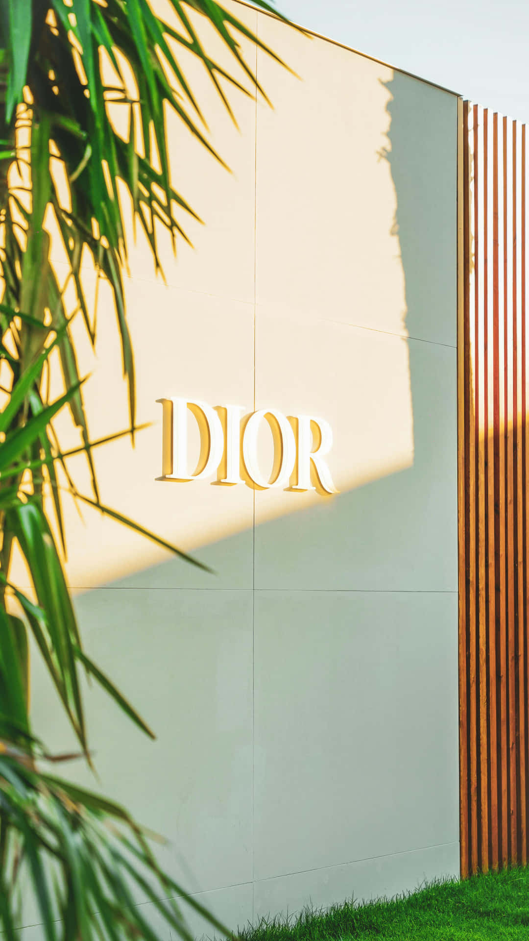 Golden Dior Signage Sunlit Wall Wallpaper