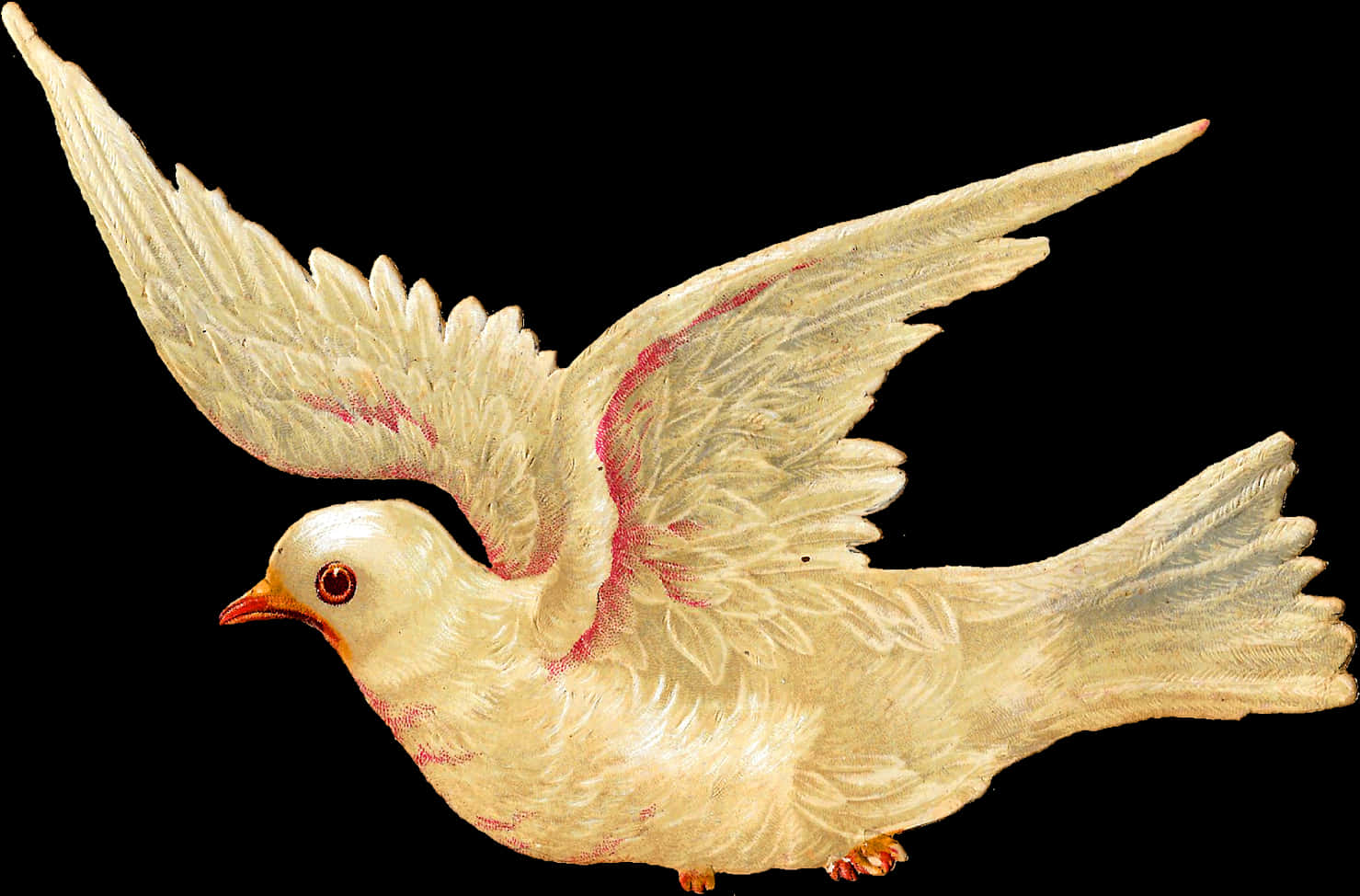 Graceful Flying Dove Illustration PNG