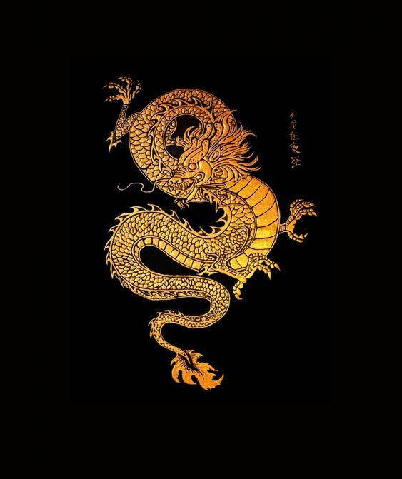 Golden Dragon Chinese Vector Art Wallpaper