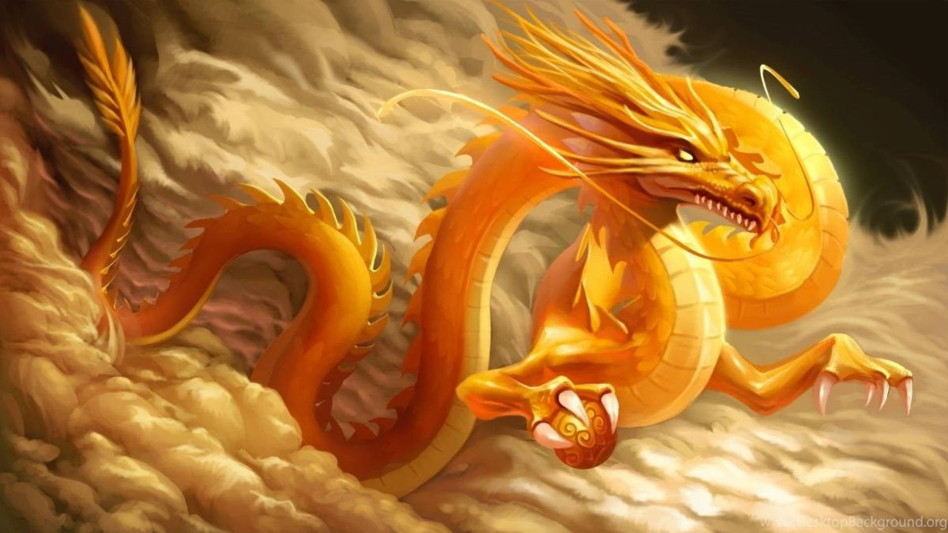 Golden Dragon Digital Drawing Wallpaper