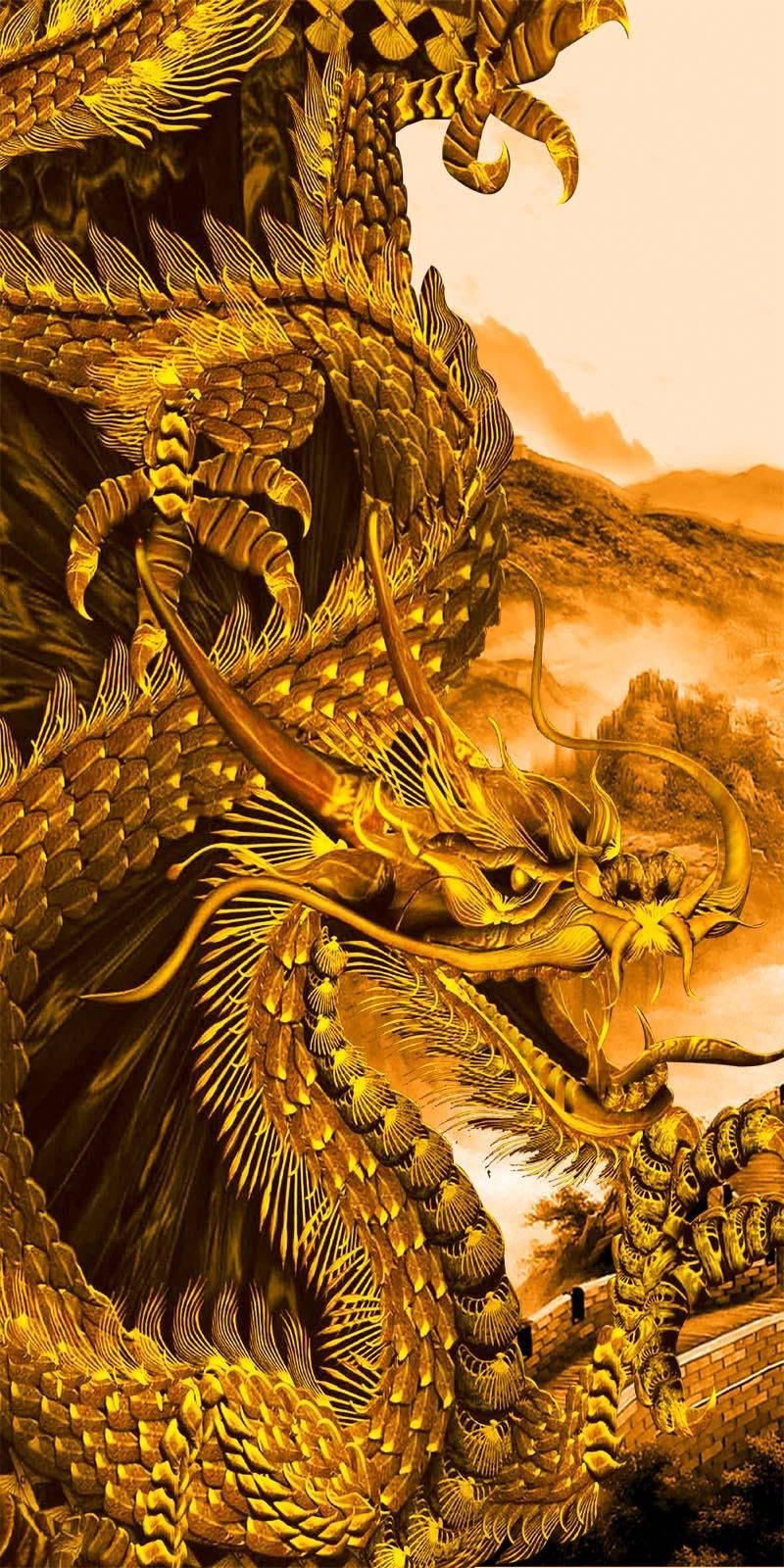 Golden Dragon Sketch Wallpaper
