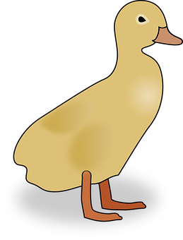 Golden Duckling Illustration PNG