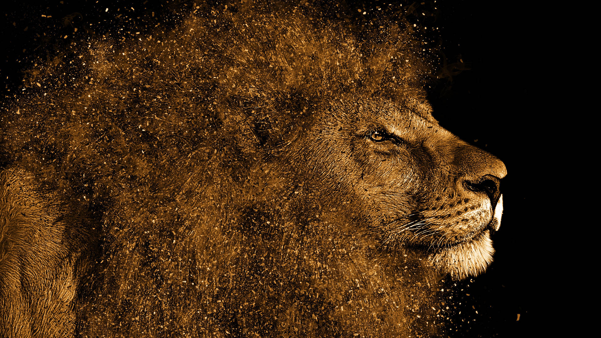 Golden Dust Lion Wallpaper