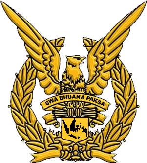 Golden Eagle Air Force Emblem PNG
