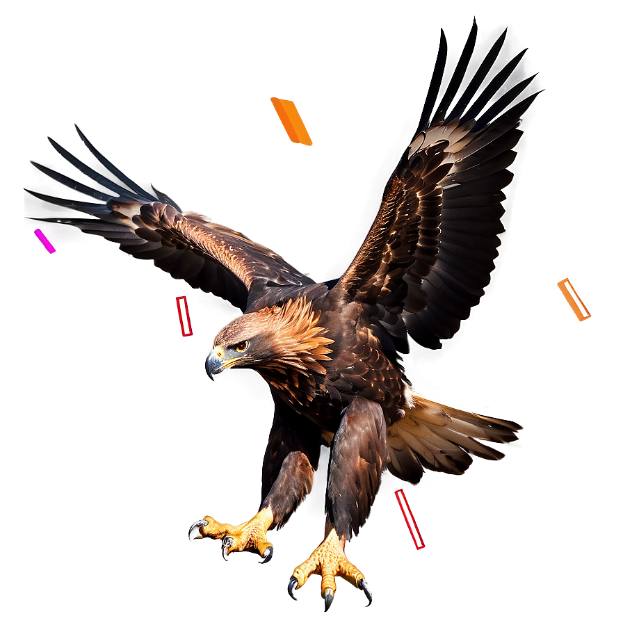 Golden Eagle In Dynamic Pose Png Ltw32 PNG