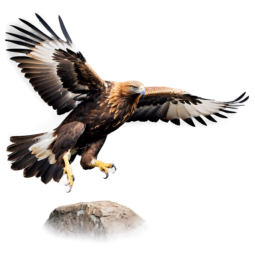 Golden Eagle In Dynamic Pose Png Pmf PNG