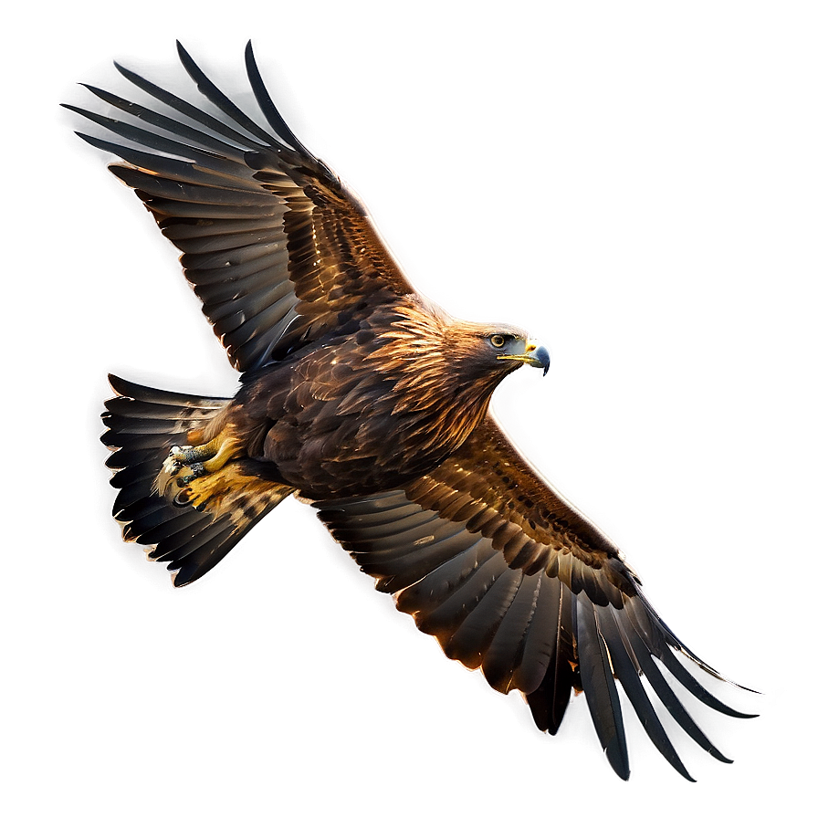 Golden Eagle In Serene Setting Png Cwt63 PNG